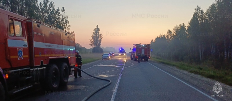 Пожар в Мантуровском районе ликвидирован