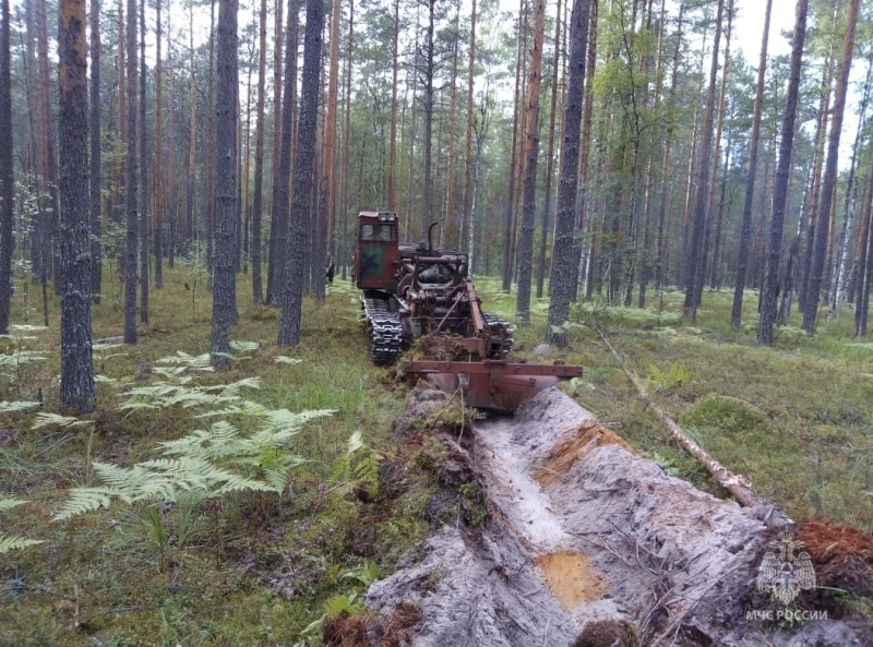 Лесной пожар в Макарьевском районе локализован