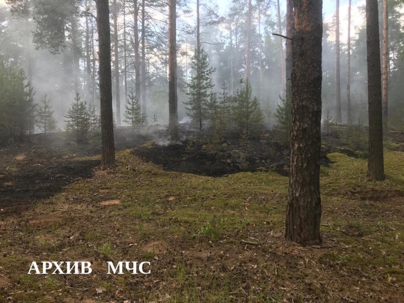 Лесной пожар в Островском районе ликвидирован