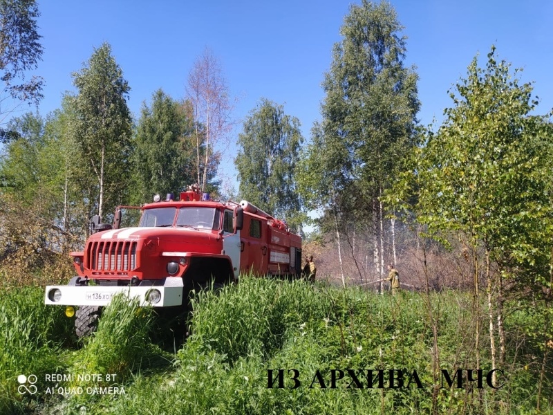 Лесной пожар в Островском районе