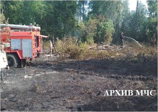 Лесной пожар в Солигаличском муниципальном округе