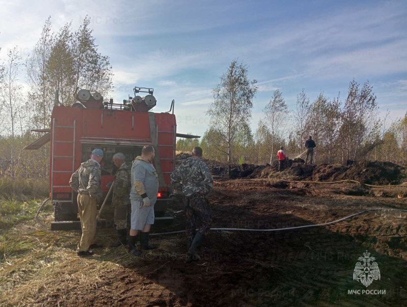 Лесной пожар в Костромском муниципальном районе ликвидирован