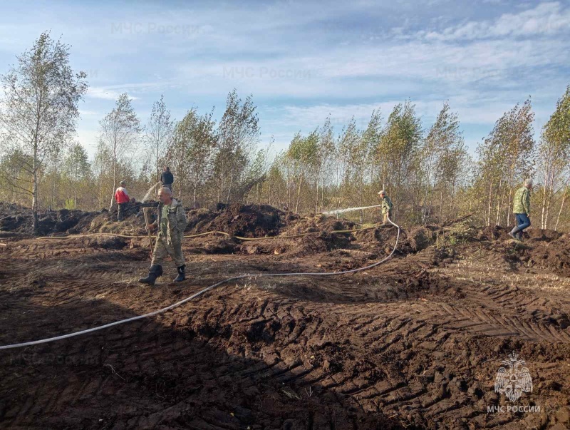 Лесной пожар в Костромском муниципальном районе