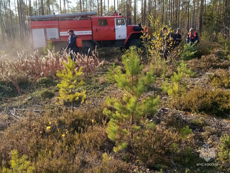 Лесной пожар в Парфеньевском муниципальном округе локализован